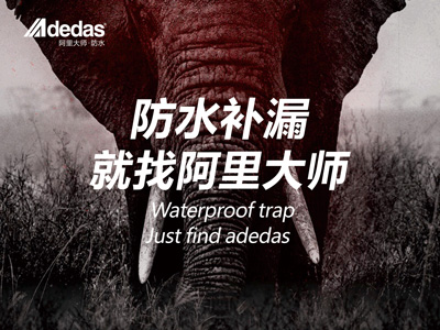 ADEDAS|“阿里大師，大師補漏”——阿里防水品牌名片